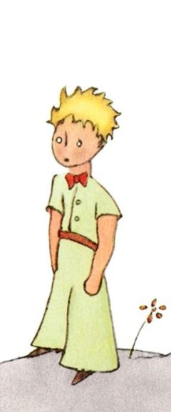 DerkleinePrinz2